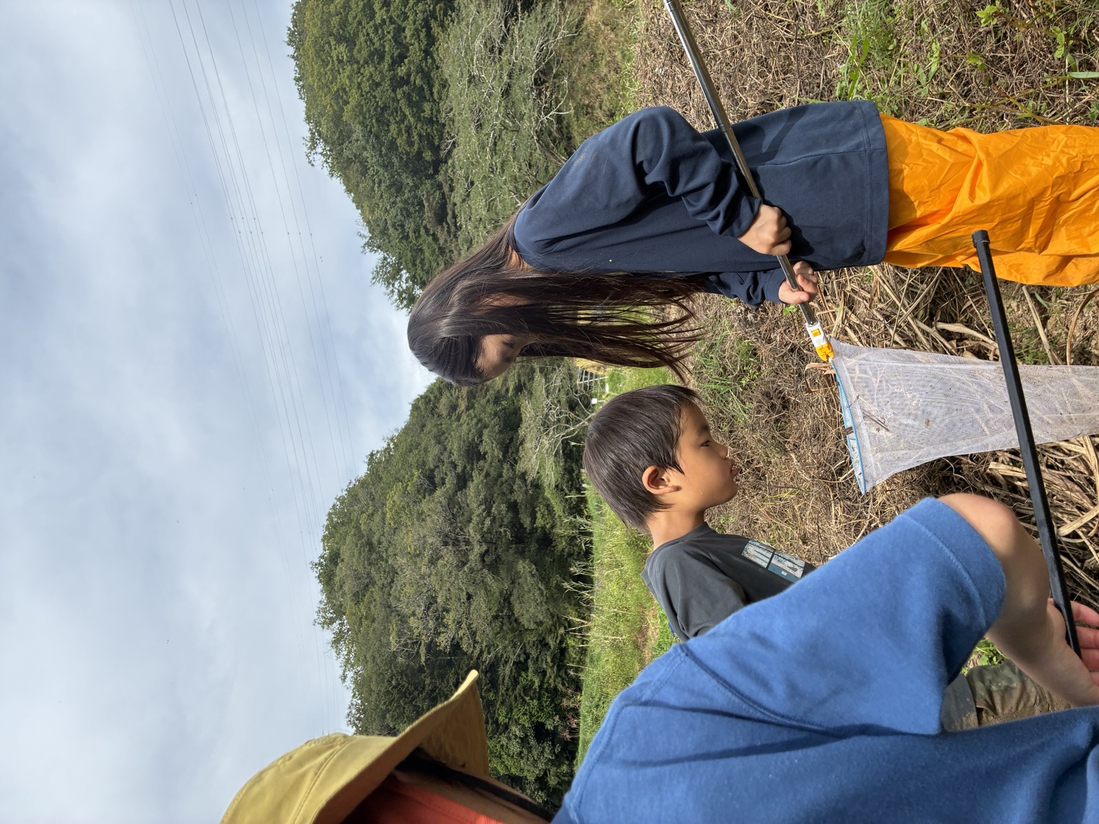 いきもの探検隊の様子